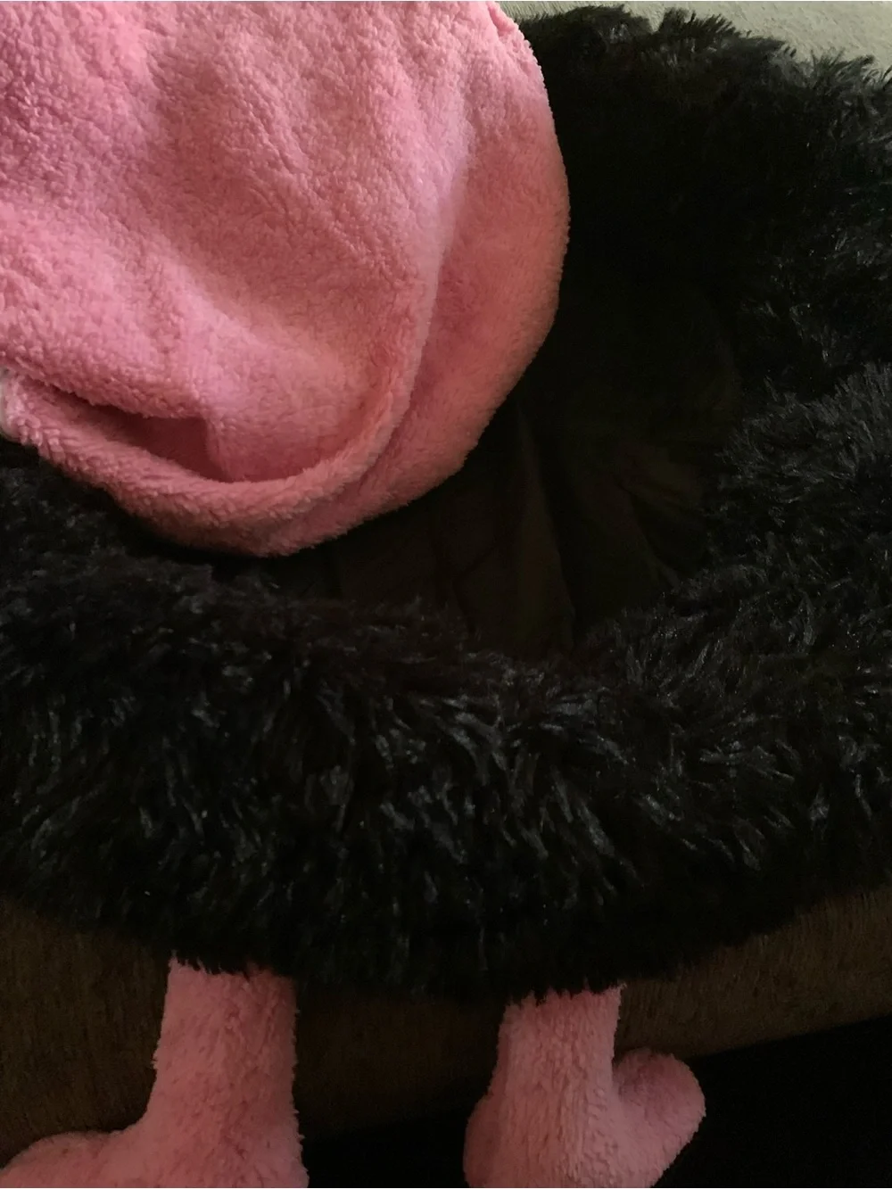 Cute Calming Dog Bed Indoor
